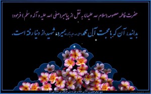 وفات حضرت معصومه (س) (۱۱)